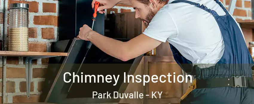 Chimney Inspection Park Duvalle - KY