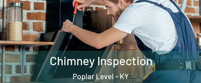 Chimney Inspection Poplar Level - KY