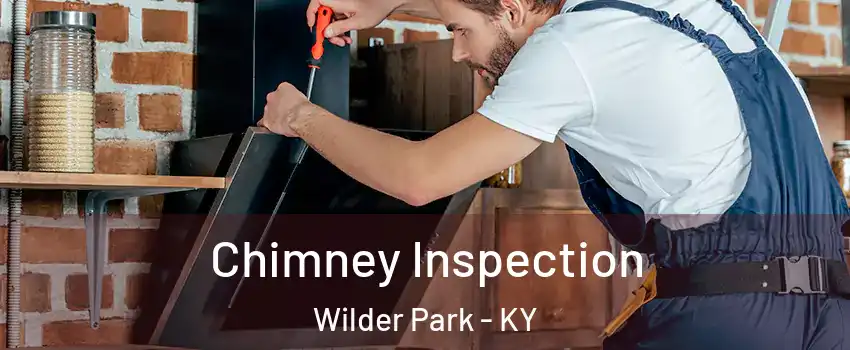 Chimney Inspection Wilder Park - KY