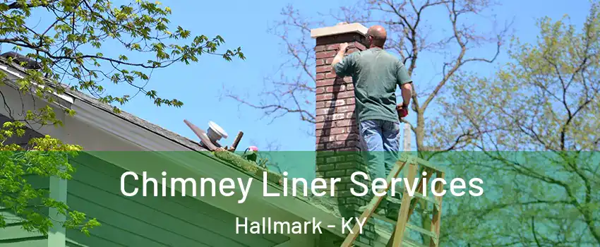 Chimney Liner Services Hallmark - KY