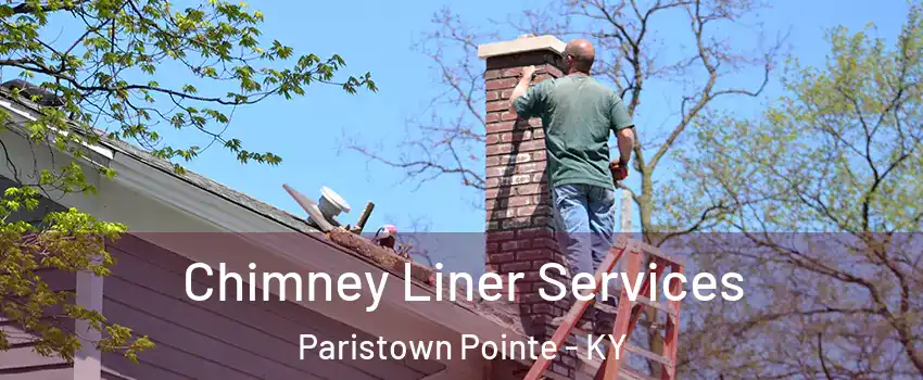 Chimney Liner Services Paristown Pointe - KY
