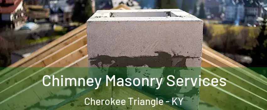 Chimney Masonry Services Cherokee Triangle - KY