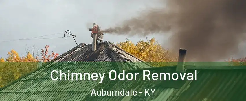 Chimney Odor Removal Auburndale - KY