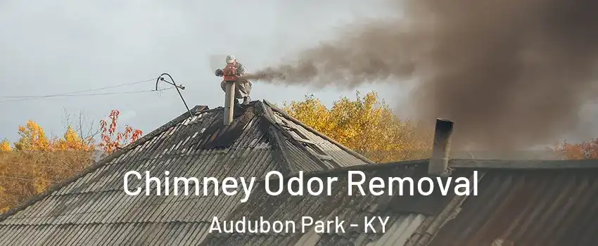 Chimney Odor Removal Audubon Park - KY