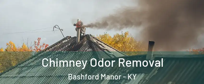 Chimney Odor Removal Bashford Manor - KY