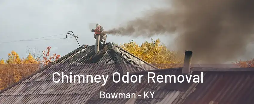 Chimney Odor Removal Bowman - KY