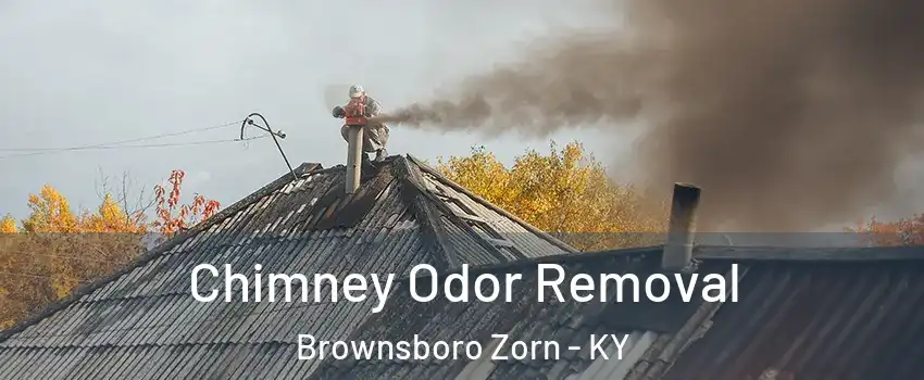 Chimney Odor Removal Brownsboro Zorn - KY