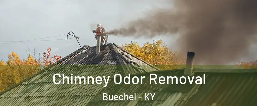 Chimney Odor Removal Buechel - KY