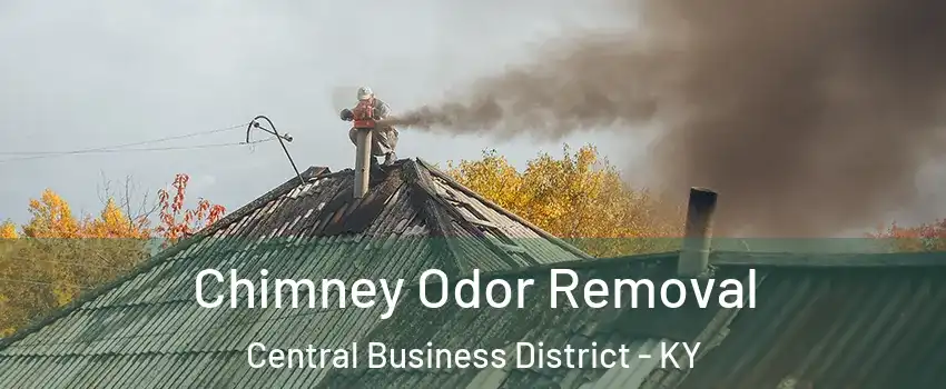 Chimney Odor Removal Central Business District - KY