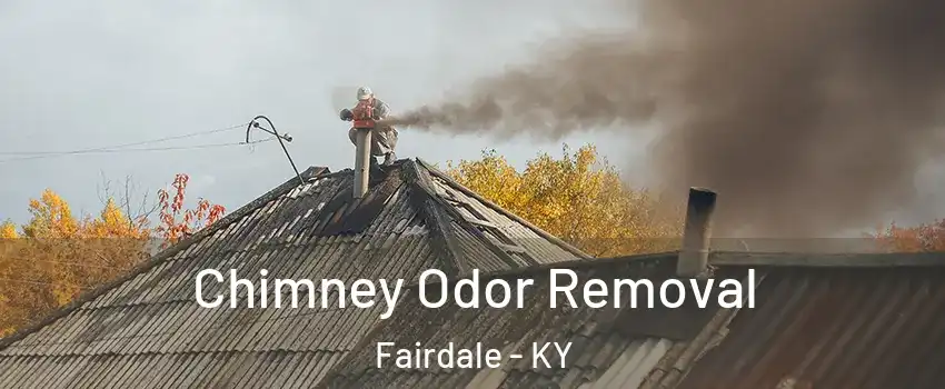 Chimney Odor Removal Fairdale - KY