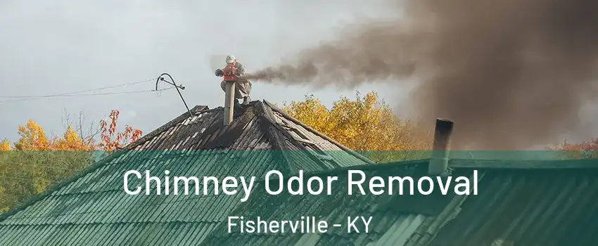 Chimney Odor Removal Fisherville - KY