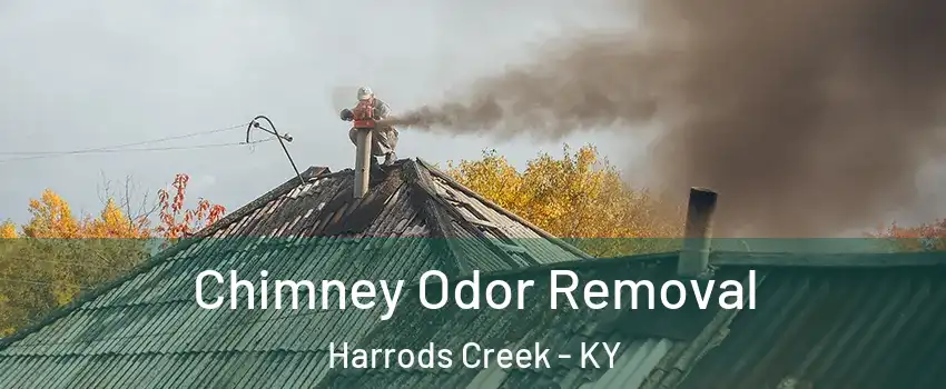 Chimney Odor Removal Harrods Creek - KY