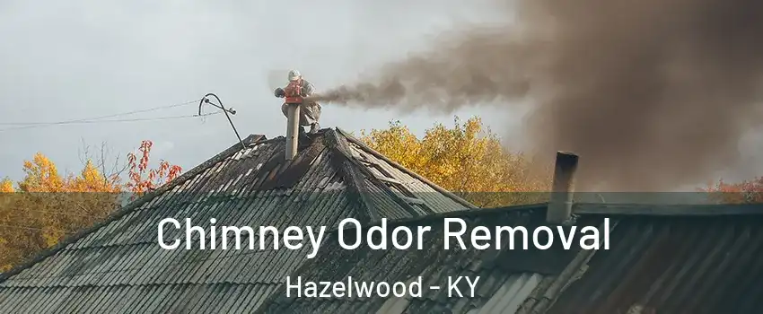 Chimney Odor Removal Hazelwood - KY