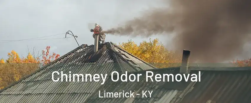 Chimney Odor Removal Limerick - KY