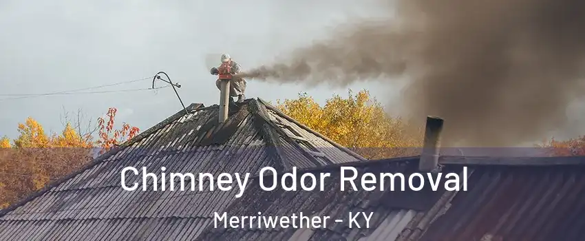 Chimney Odor Removal Merriwether - KY