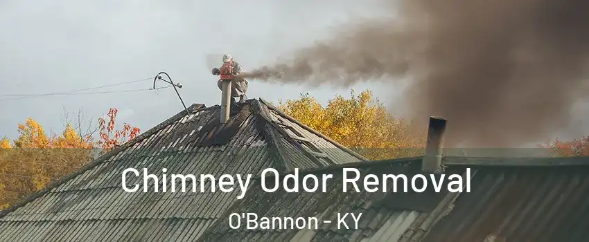 Chimney Odor Removal O'Bannon - KY