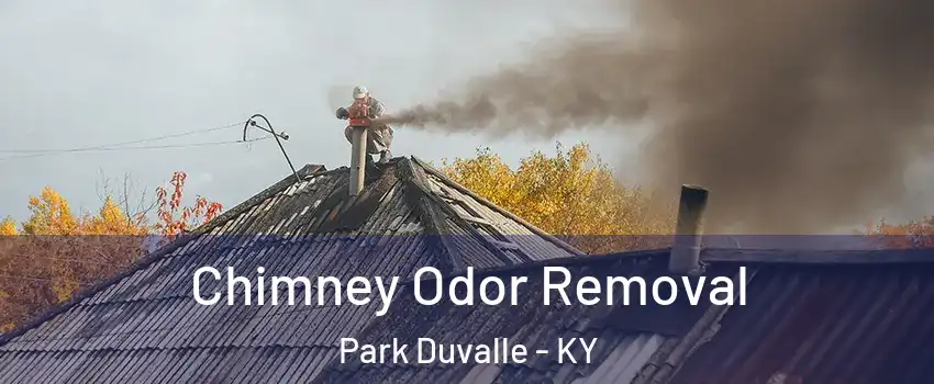 Chimney Odor Removal Park Duvalle - KY