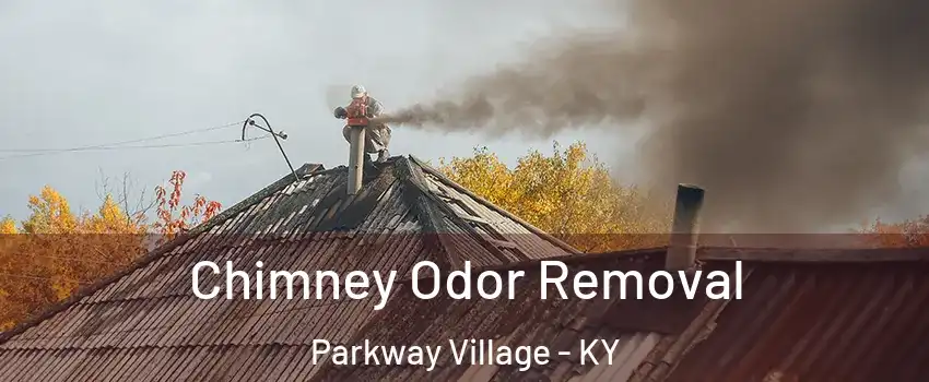 Chimney Odor Removal Parkway Village - KY
