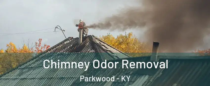 Chimney Odor Removal Parkwood - KY