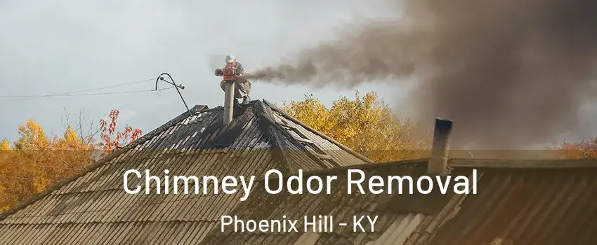 Chimney Odor Removal Phoenix Hill - KY