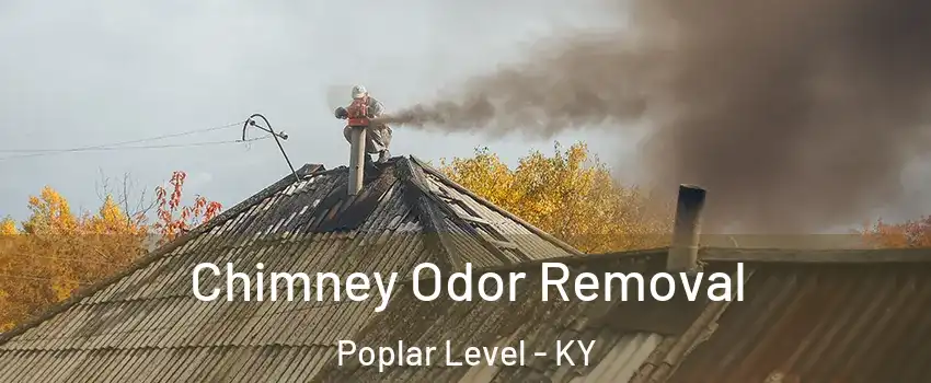 Chimney Odor Removal Poplar Level - KY