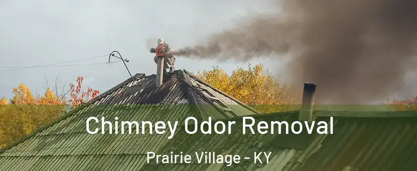 Chimney Odor Removal Prairie Village - KY