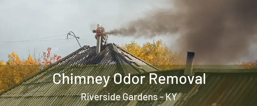 Chimney Odor Removal Riverside Gardens - KY