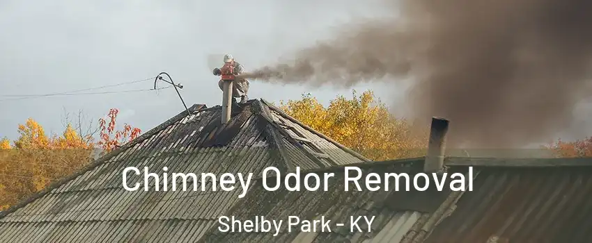 Chimney Odor Removal Shelby Park - KY