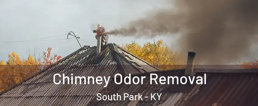 Chimney Odor Removal South Park - KY