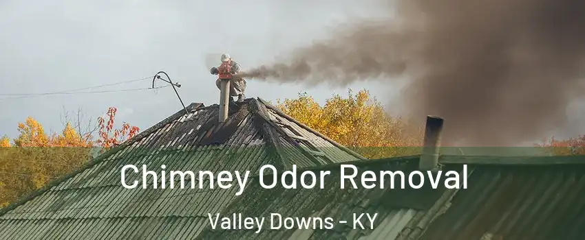 Chimney Odor Removal Valley Downs - KY