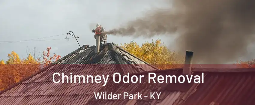 Chimney Odor Removal Wilder Park - KY