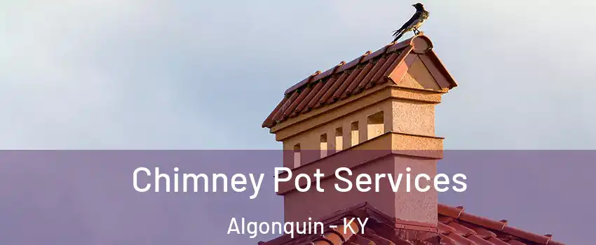 Chimney Pot Services Algonquin - KY