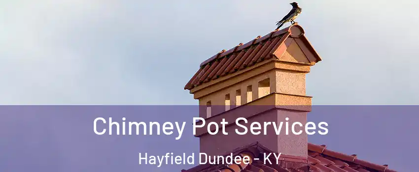 Chimney Pot Services Hayfield Dundee - KY