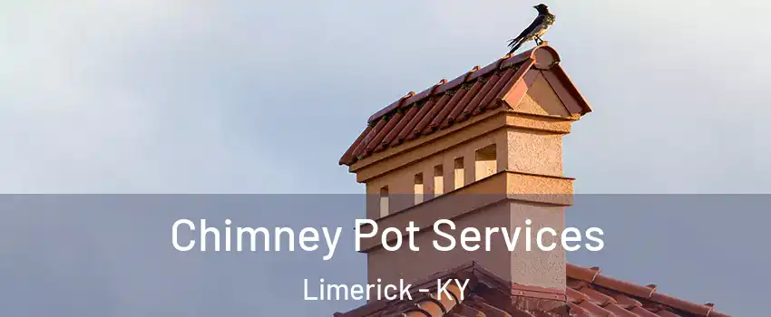 Chimney Pot Services Limerick - KY