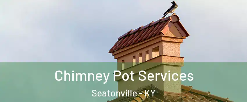 Chimney Pot Services Seatonville - KY