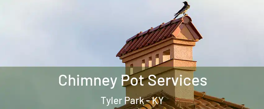 Chimney Pot Services Tyler Park - KY