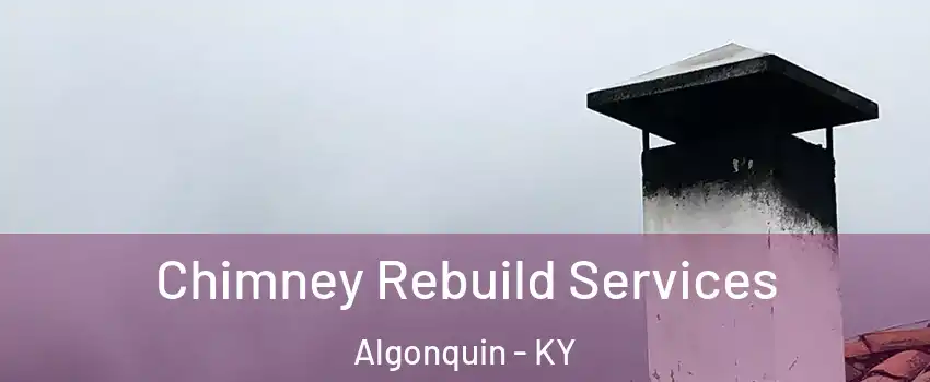 Chimney Rebuild Services Algonquin - KY