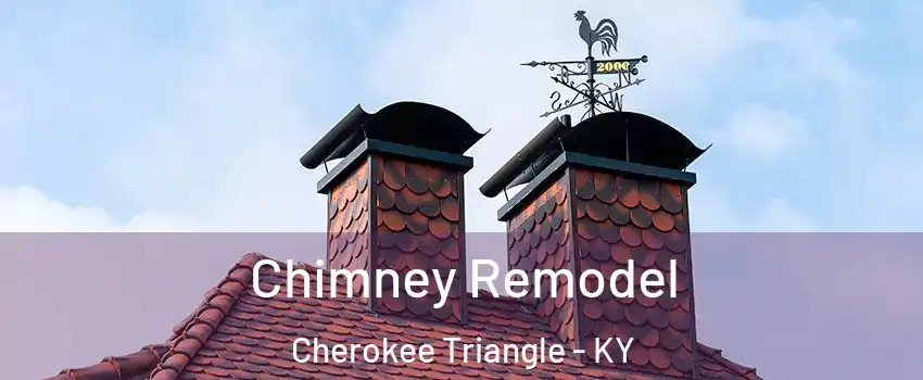 Chimney Remodel Cherokee Triangle - KY