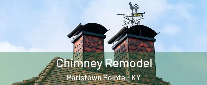 Chimney Remodel Paristown Pointe - KY