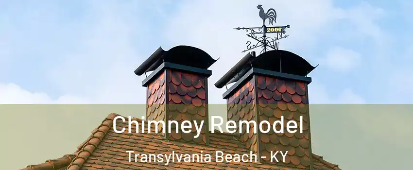 Chimney Remodel Transylvania Beach - KY