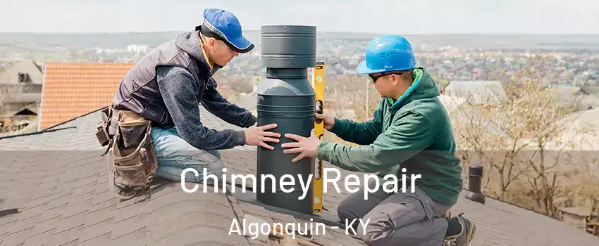 Chimney Repair Algonquin - KY