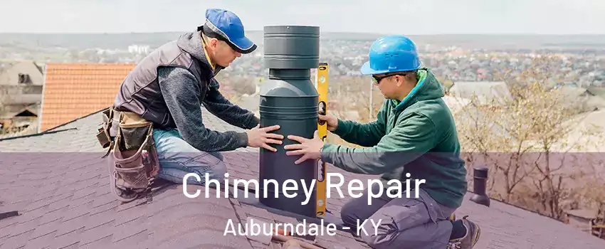 Chimney Repair Auburndale - KY