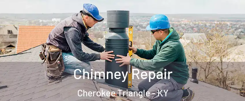 Chimney Repair Cherokee Triangle - KY