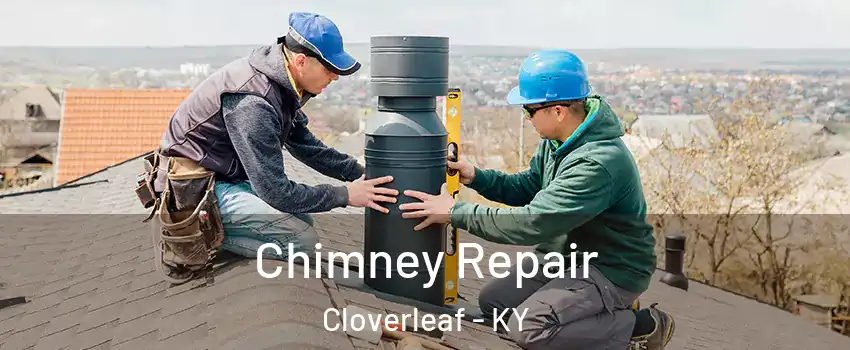 Chimney Repair Cloverleaf - KY
