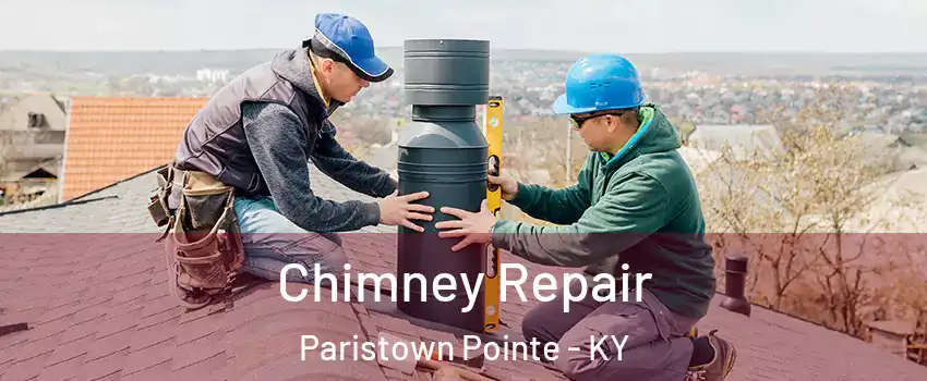 Chimney Repair Paristown Pointe - KY