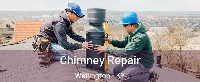 Chimney Repair Wellington - KY