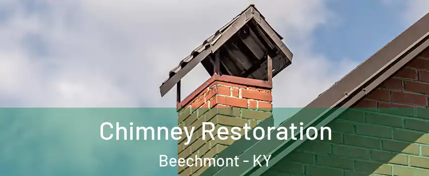 Chimney Restoration Beechmont - KY