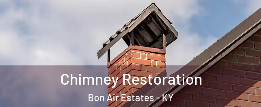 Chimney Restoration Bon Air Estates - KY