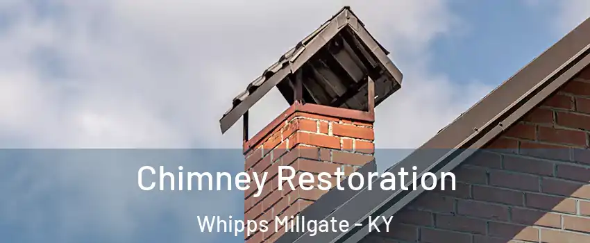 Chimney Restoration Whipps Millgate - KY