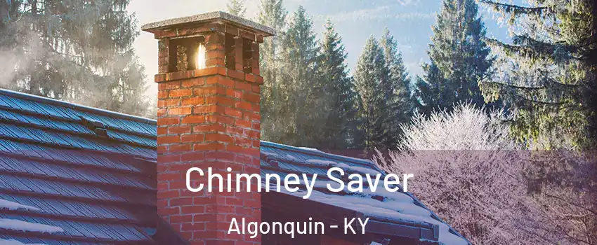 Chimney Saver Algonquin - KY